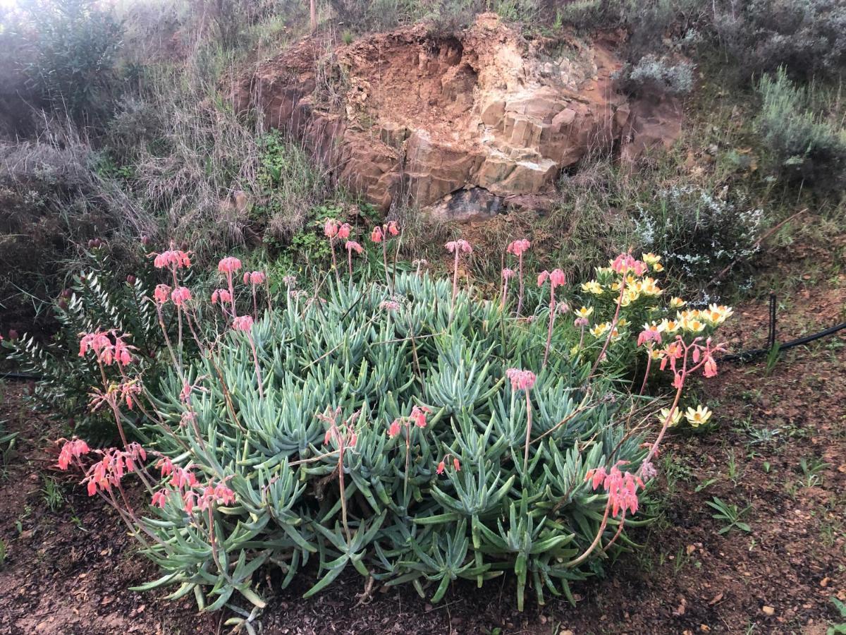 Inn On Highlands Grabouw Bagian luar foto